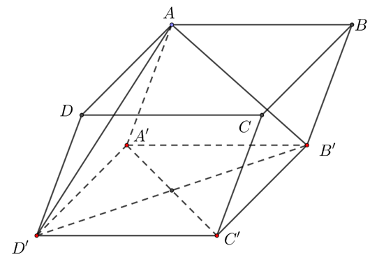 Cho h&igrave;nh hộp ABCD.A'B'C'D'. Mặt phẳng (AB'D') song song với mặt phẳng n&agrave;o sau đ&acirc;y? (ảnh 1)