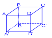 Hình lập phương ABCD.A'B'C'D' có AB = 7 cm.                Thể tích của hình lập phương này là: (ảnh 1)