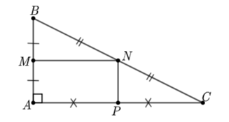 Cho hình vẽ, tứ giác AMNP là hình gì? A. Hình thoi.	B. Hình chữ nhật.	 (ảnh 1)
