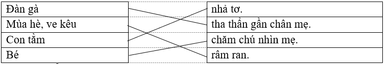 Nối đúng  Đàn gà  	     	  nhả tơ.     Mùa hè, ve kêu  	     	  tha thẩn gần chân mẹ.     Con tằm  	     	  chăm chú nhìn mẹ.     Bé  	     	  râm ran. (ảnh 1)
