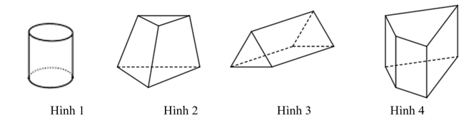 Trong các hình sau, hình nào là hình lăng trụ đứng tứ giác? (ảnh 1)