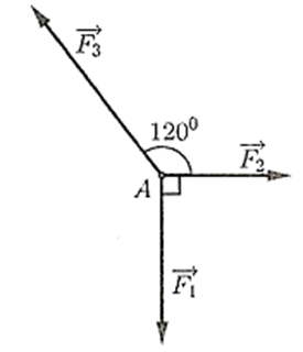 Một chất điểm A chịu tác dụng của ba lực vecto F1 vecto F2 ,vecto F3 như hình vẽ biết chất điểm A đang ở trạng thái cân bằng. Độ lớn của lực vecto F3 bằng bao nhiêu Newton biết rằng lực vecto F1 có độ lớn 12 N (ảnh 1)
