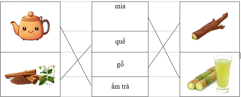 Nối từ với hình ảnh thích hợp. mía quế gỗ ấm trà (ảnh 1)