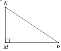Cho tam giác MNP vuông tại M, ta có: a) cos M = sin P b) tan M = cot M c) sin M = cos P d) cot P = tan P (ảnh 1)