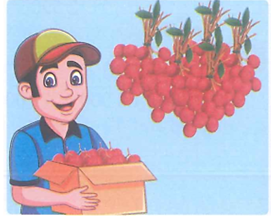 Sau khi sấy 4 800 kg vải tươi, anh Tân thu được số ki-lô-gam vải sấy giảm đi 4 lần so với số ki-lô-gam vải tươi (ảnh 1)