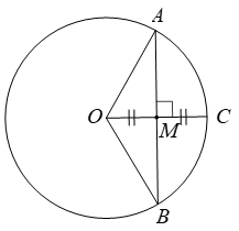 Cho đường tròn (O; 12cm), dây AB vuông góc với bán kính OC tại trung điểm M của OC. Tính độ dài của dây AB (kết quả làm tròn đến hàng phần chục) (ảnh 1)