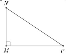 Cho tam giác MNP vuông tại M, ta có: a) cos M = sin P   b) tan M = cot M  c) sin M = cos P d) cot P = tan P (ảnh 1)