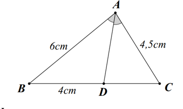 Cho hình vẽ bên. Độ dài đoạn thẳng CD là (ảnh 1)