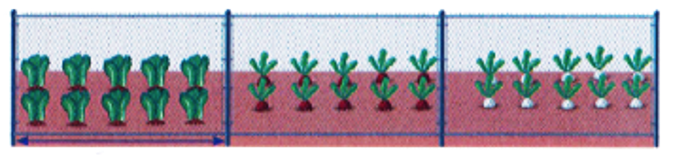 Bố An làm hàng rào lưới ngăn không cho gà vào vườn. Bố đóng 4 chiếc cọc, các cọc cách đều nhau 5m.  (ảnh 1)