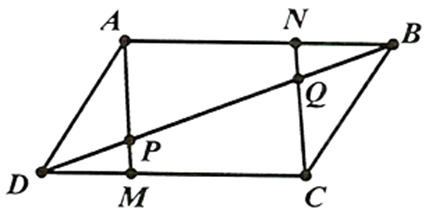 Cho hình bình hành ABD. Trên các đoạn thẳng DC,AB theo thứ tự lấy các điểm M,N sao cho DM = BN. Gọi P là giao điểm của AM,DB và Q là giao điểm của CN,DB. Khi đó vecto DP = k vecto QB. Vậy k =  ? (ảnh 1)