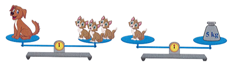 Con chó cân nặng là:    (ảnh 1)