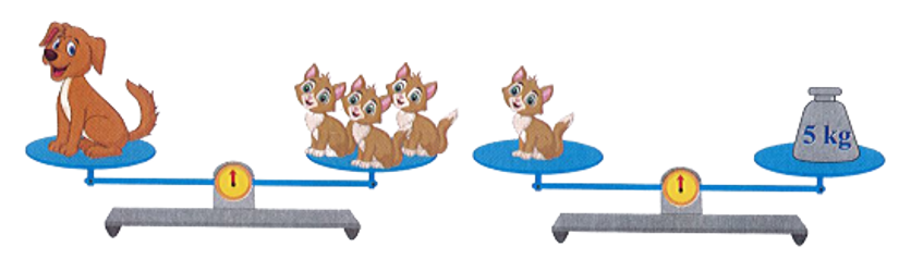 Con chó cân nặng là:  (ảnh 1)