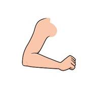 Minh Họa Vector Màu Của Các Trang Sách Tô Màu Hoạt Động Của Trẻ Em Với Hình Ảnh Khuỷu Tay Màu Cam Hình minh họa Sẵn có - Tải xuống Hình ảnh