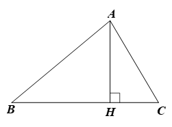 Cho tam giác nhọn ABC. Chứng minh: (ảnh 1)