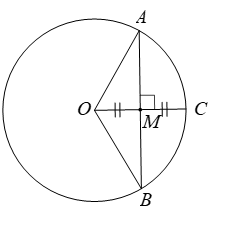 Cho đường tròn (O; 12cm), dây AB vuông góc với bán kính OC tại trung điểm M của OC. Tính độ dài của dây \(AB\) (kết quả làm tròn đến hàng phần chục) (ảnh 1)
