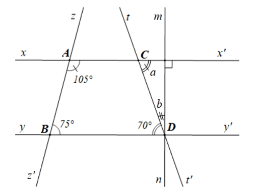 Cho các đường thẳng xx' , yy' , zz', tt' cắt nhau như hình vẽ bên: (ảnh 1)