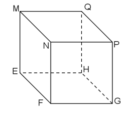 Quan sát hình lập phương \[EFGH.MNPQ\]. Biết MQ = 4cm (ảnh 1)