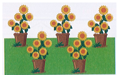 Viết phép tính và kết quả vào chỗ trống   	Có tất cả bao nhiêu bông hoa hướng dương?  (ảnh 1)