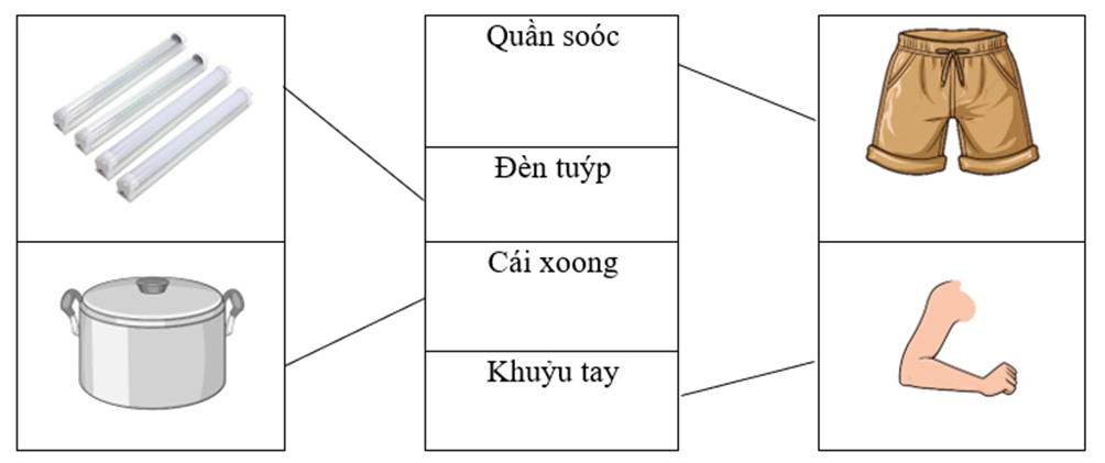 Nối từ với hình ảnh thích hợp. Quần soóc Đèn tuýp Cái xoong (ảnh 1)