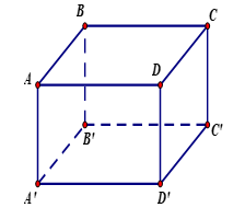 Hình lập phương ABCD.A'B'C'D' có AB = 3cm. Khẳng định nào sau đây đúng? (ảnh 1)
