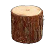 Khúc gỗ có dạng khối gì? (ảnh 1)