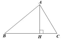 Cho tam giác ABC nhọn. Chứng minh rằng: (ảnh 1)