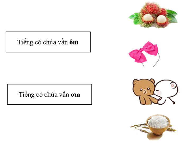 Nối: cho phù hợp: (ảnh 1)