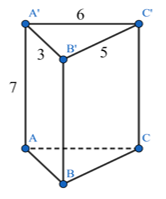 Cho hình lăng trụ đứng tam giác ABC.A'B'C' có cạnh A'B' = 3 cm (ảnh 1)
