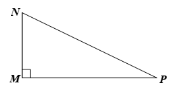 Cho tam giác MNP vuông tại M (ảnh 1)