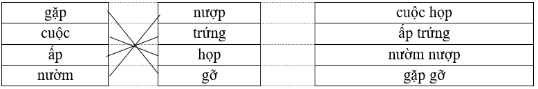 Nối và viết theo mẫu: gặp nượp .......................... cuộc trứng .......................... ấp họp .......................... nườm gỡ gặp gỡ (ảnh 2)