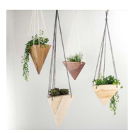 1. Một giỏ hoa gỗ mini có dạng hình chóp tam giác đều (như hình bên) có nửa chu vi đáy là 15,07 cm và độ dài trung (ảnh 1)