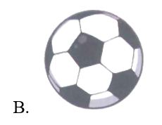 Đồ vật nào dưới đây không có dạng khối cầu?  (ảnh 2)