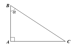 Cho tam gi&aacute;c ABC vu&ocirc;ng tại A c&oacute;  g&oacute;c B = g&oacute;c alpha  (ảnh 1)