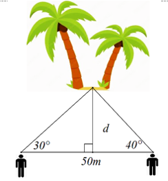 Hai ngư d&acirc;n đứng ở m&ocirc;̣t b&ecirc;n bờ sóng cách nhau 50m cùng nhìn th&acirc;́y m&ocirc;̣t cù lao tr&ecirc;n sóng với các góc nhìn lần lượt l&agrave; 30 độ v&agrave; 40 độ  (ảnh 1)