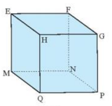 Đường chéo của hình lập phương EFGH.MNPQ là (ảnh 1)