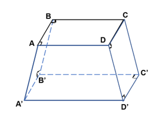 Cho hình lăng trụ đứng như hình bên. Mặt đáy của hình lăng trụ đứng là (ảnh 1)