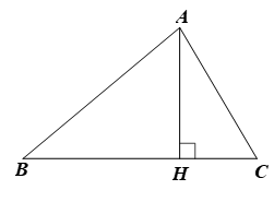 Cho tam giác nhọn ABC. Chứng minh: (ảnh 1)