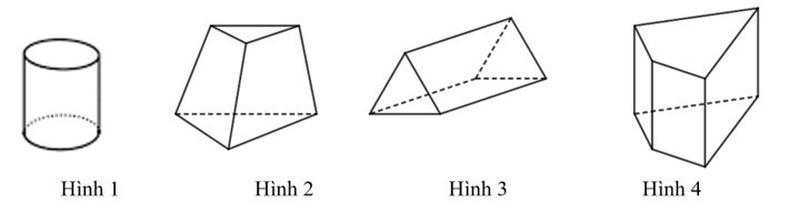 Trong các hình sau, hình nào là hình lăng trụ đứng tứ giác? (ảnh 1)