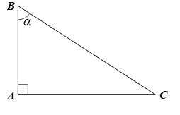 Cho tam giác ABC vuông tại A có góc B = alpha (ảnh 1)