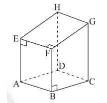 Mặt đáy của lăng trụ đứng tứ giác ABCD.EFGH là (ảnh 1)