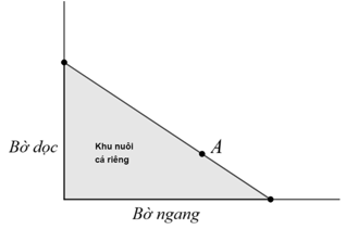 Người ta giăng lưới để nuôi riêng một loại cá trên một góc hồ. Biết rằng lưới được giăng theo một đường thẳng từ một vị trí trên bờ ngang đến một vị trí trên bờ dọc và phải đi qua một cái cọc đã cắm sẵn ở vị trí A (ảnh 1)