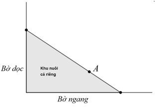 Người ta giăng lưới để nuôi riêng một loại cá trên một góc hồ. Biết rằng lưới được giăng theo một đường thẳng từ một vị trí trên bờ ngang đến một vị trí trên bờ dọc (ảnh 1)