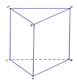 Cho hình lăng trụ đứng tam giác vuông ABC.DEF như hình vẽ. (ảnh 1)