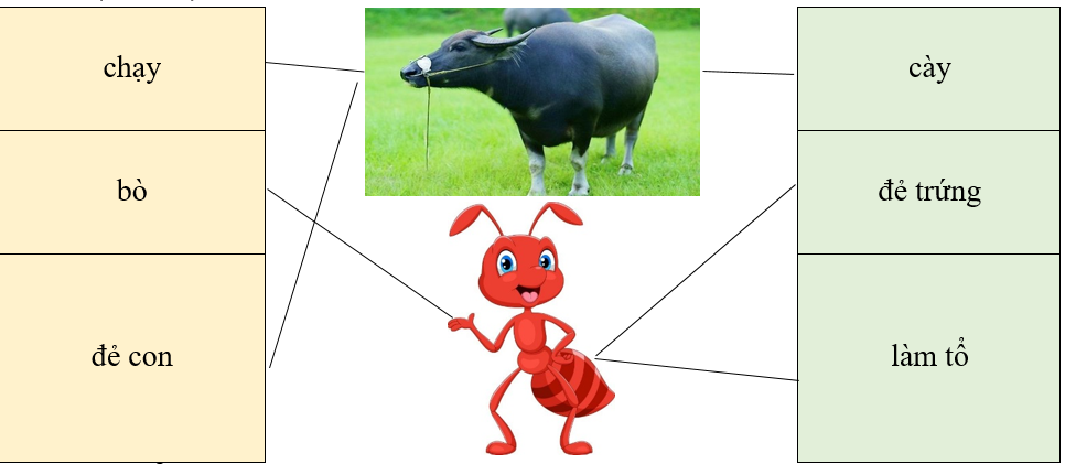 Em hãy quan sát bức tranh dưới đây và nối các động từ phù hợp với sự vật trong tranh:  (ảnh 3)