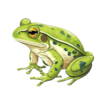 Hình ảnh ếch Minh Họa PNG , Con ếch, Thiên Nhiên, động Vật PNG trong suốt và Vector để tải xuống miễn phí