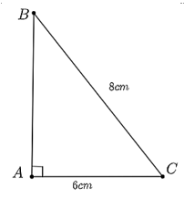 Cho tam giác ABC vuông tại A có BC = 8cm, AC = 6cm. Tỉ số lượng giác tan C là bao nhiêu? (kết quả được làm tròn đến hàng phần trăm) (ảnh 1)