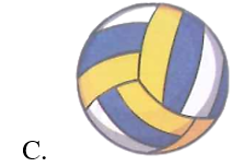 Đồ vật nào dưới đây không có dạng khối cầu?  (ảnh 3)