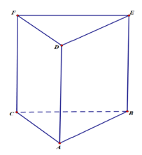 Cho hình lăng trụ đứng tam giác vuông ABC.DEF như hình vẽ. (ảnh 2)