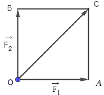 a) Có hai lực vecto F1, vecto F2 cùng tác động vào một vật tại điểm O, biết hai lực F1, vecto F2 đều có cường độ là 30 N và chúng hợp với nhau một góc 90 độ. Hỏi vật đó phải chịu một lực tổng hợp có cường độ bằng bao nhiêu? (ảnh 1)