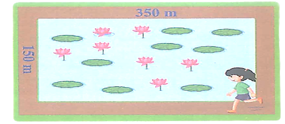 Gần nhà Mai có một hồ nước hình chữ nhật dài 350 m và rộng 150 m. Chiều nay, Mai đặt mục tiêu chạy 4 km quanh hồ. (ảnh 1)